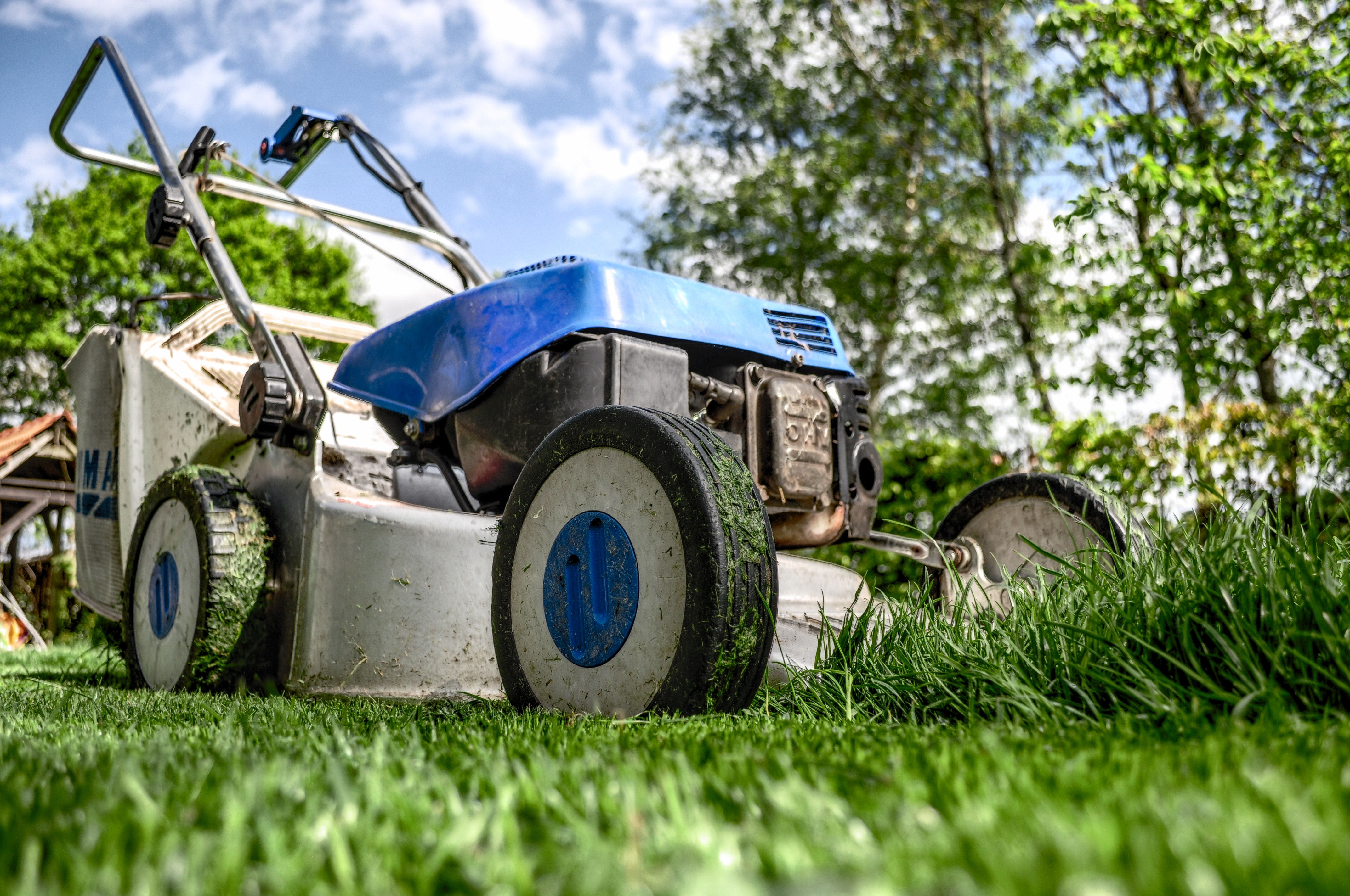 LAWN MOWING STARTING AT USD 20 PER SERVICE BIWEEKL